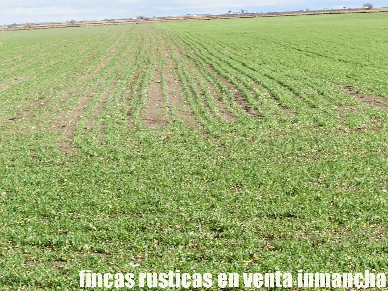 Terreni e lotti in vendita a Las Mesas, imagen 9