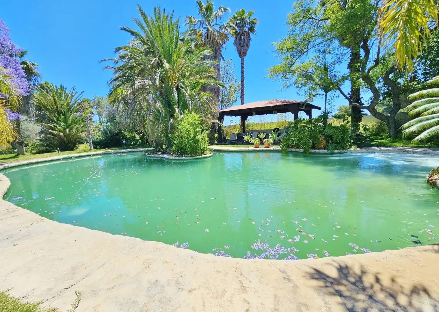 Piscina de Casa o xalet en venda en Elche / Elx amb Aire condicionat, Calefacció i Jardí privat
