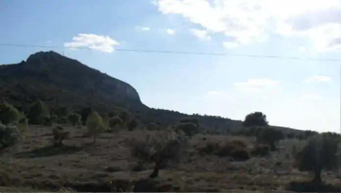 Terreno rústico en venta en Ptda Pinar, imagen 10