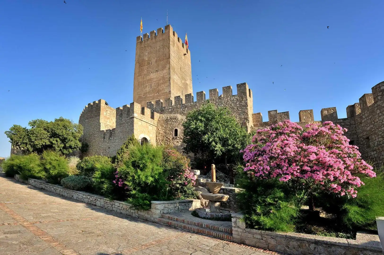 Villa con terrazza in vendita a Carrer DELS PINS, imagen 66