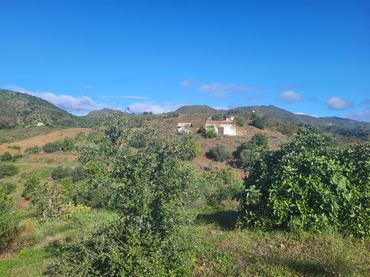 Terreno rustico in vendita a Almogía