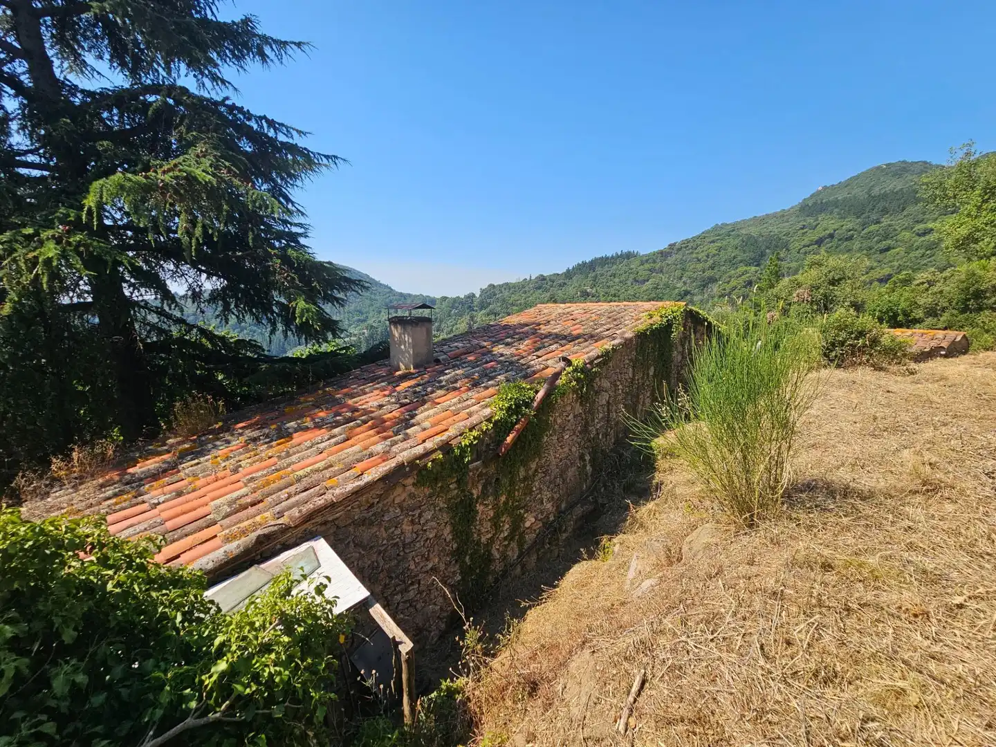 Vista exterior de Finca rústica en venda en Riells i Viabrea amb Jardí privat i Traster