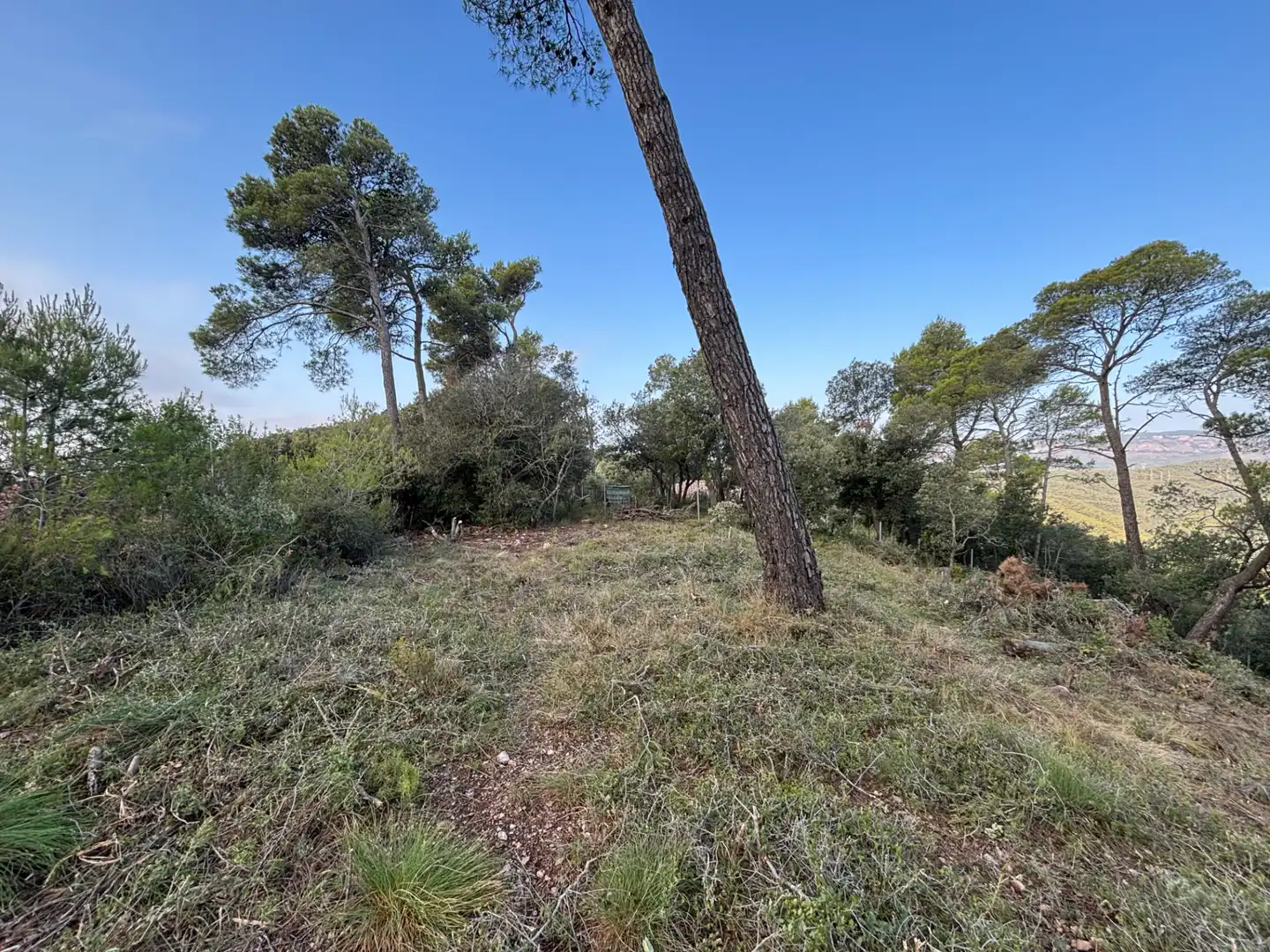 Residential land for sale in Carrer Pasarell