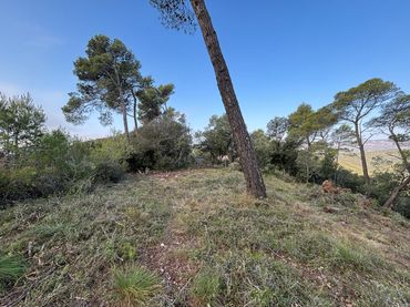 Terreno residenziale in vendita a Carrer Pasarell