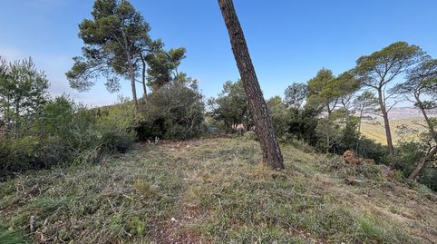 Terreno urbano en El Farell (Caldes de Montbui) – 780 m² con estudios técnicos realizados