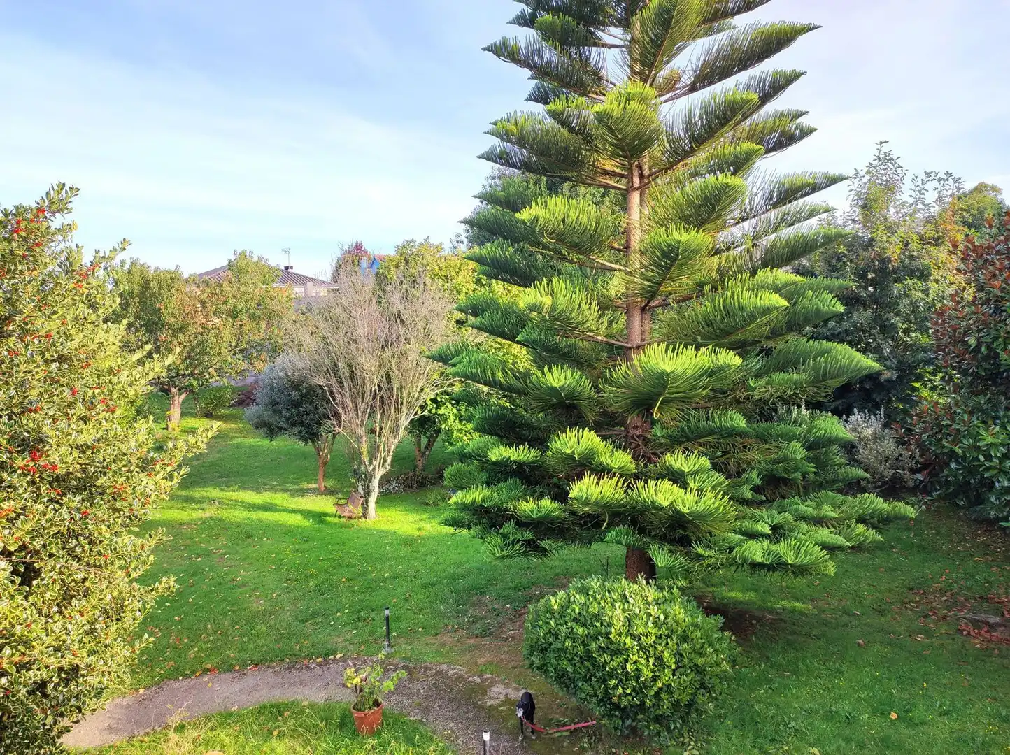 Xalet amb jardí en venda a Camino Sada Armuño, imagen 57