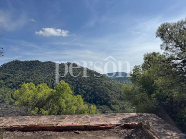 Terreno residenziale in vendita a Serra