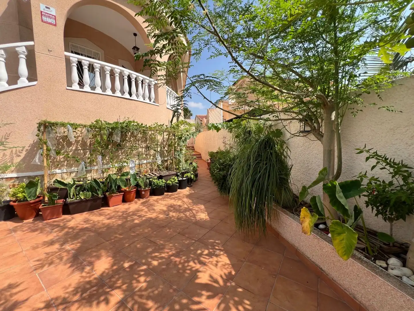 Terrace of Houses for sale in Rojales