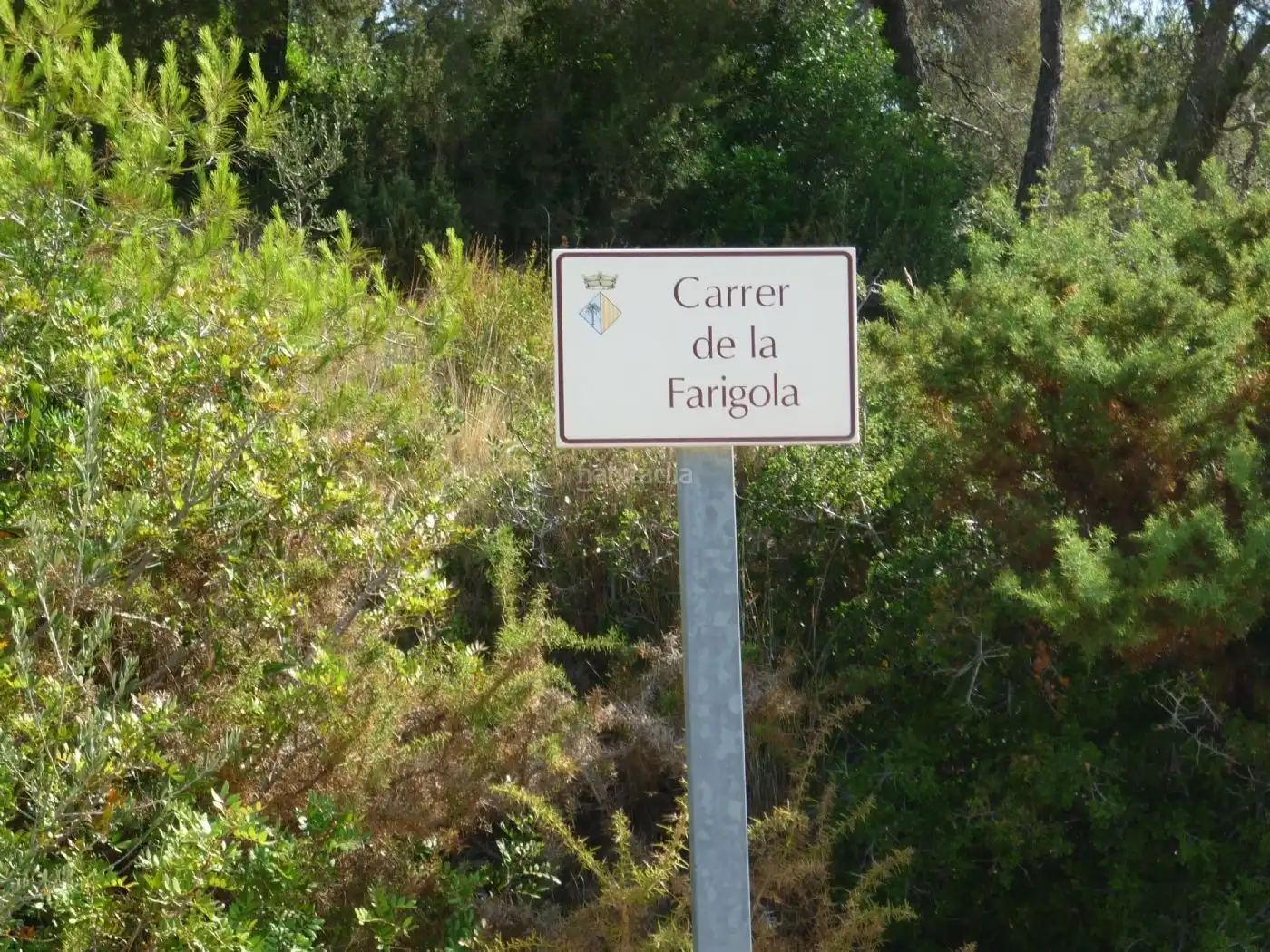 Terreno residencial en venta en Carrer Farigola 4, imagen 29