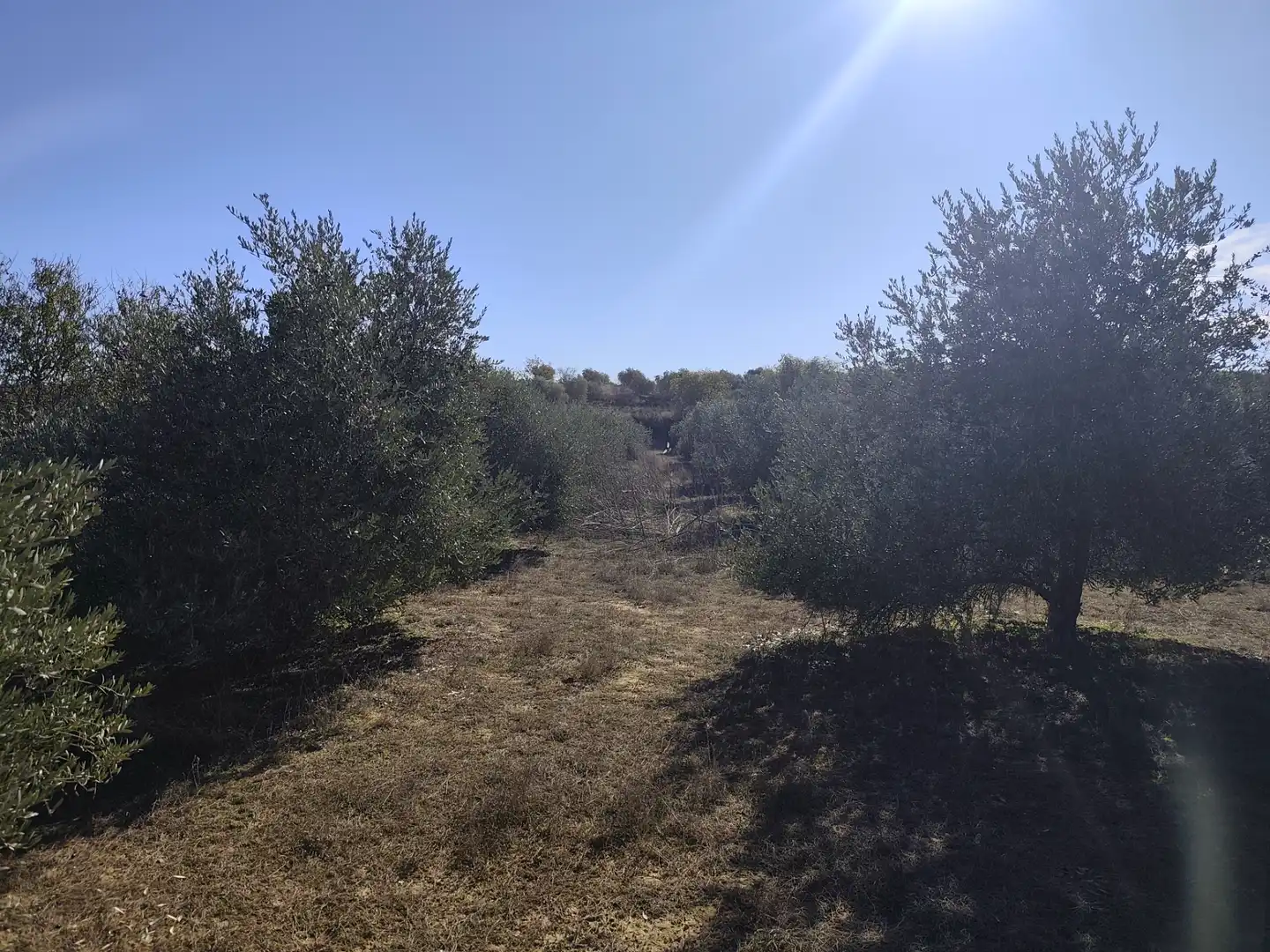 Terreny rústic en venda a Les Borges Blanques, imagen 17