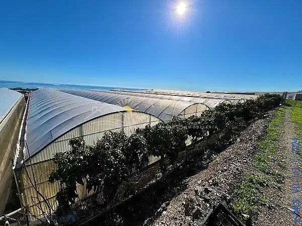 Terrenys i solars en venda a Algarrobo pueblo, imagen 13