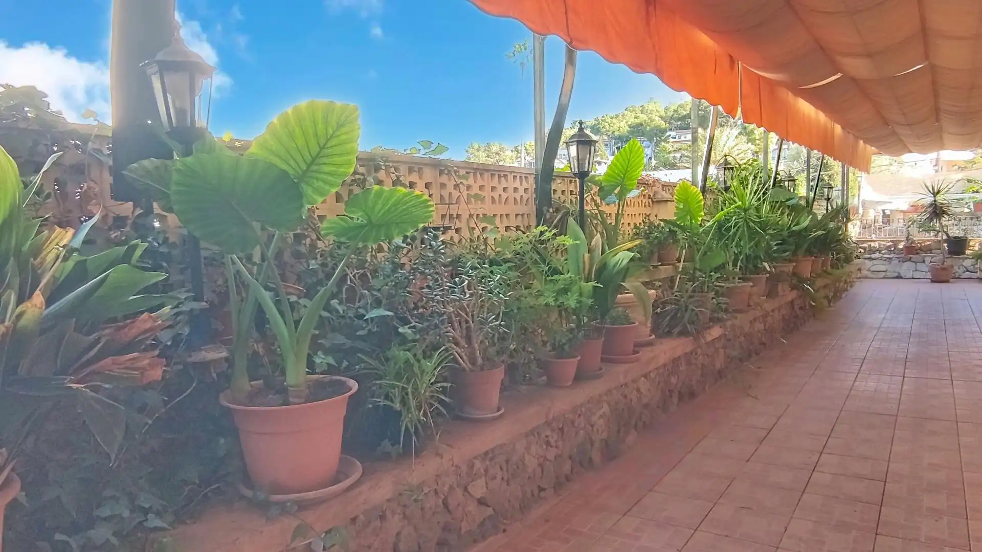 Gewerbefläche zum Verkauf in Santa Ponça, imagen 19