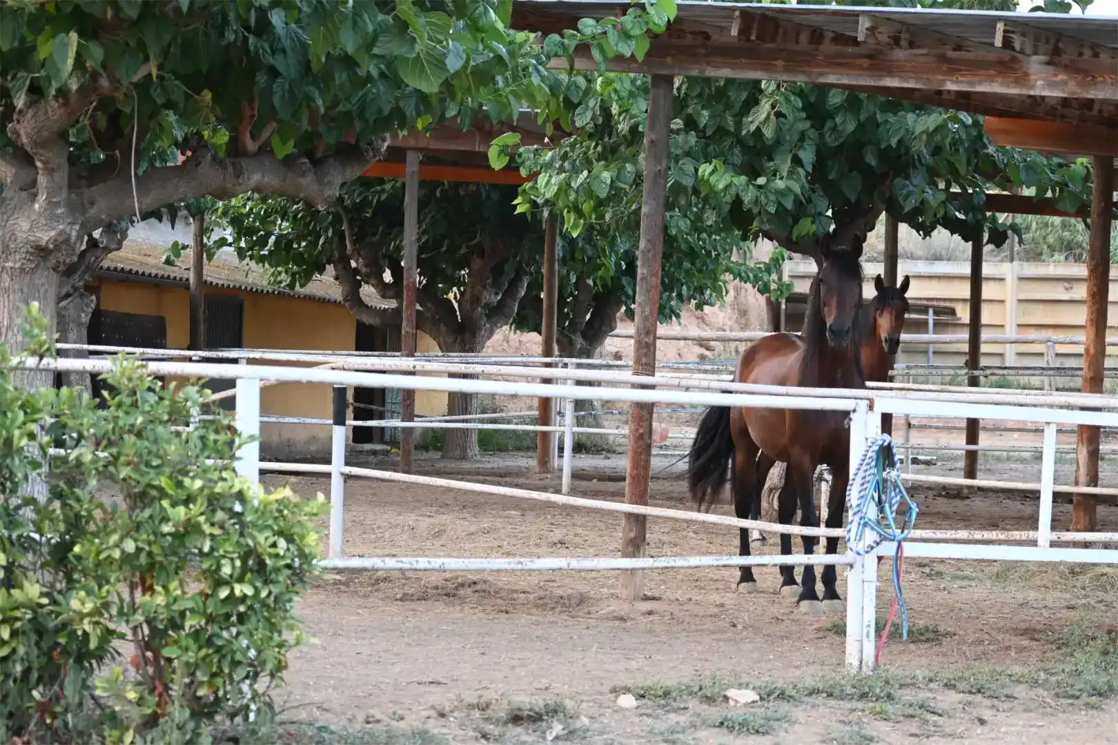 Vista exterior de Finca rústica en venda en Piera amb Aire condicionat i Piscina