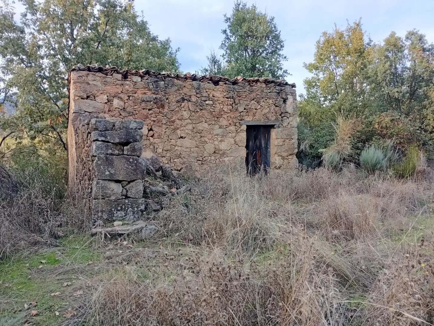 Terreni e lotti in vendita a Villanueva de la Vera, imagen 36