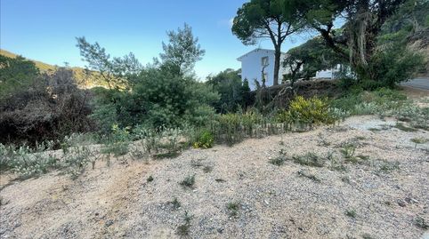 Foto 4 de Residencial en venta en Rosamar, -1, Rosamar, Santa Cristina d'Aro