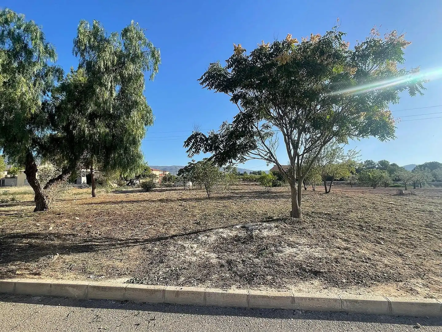 Terreno residencial en venta en El Pinós / Pinoso, imagen 11