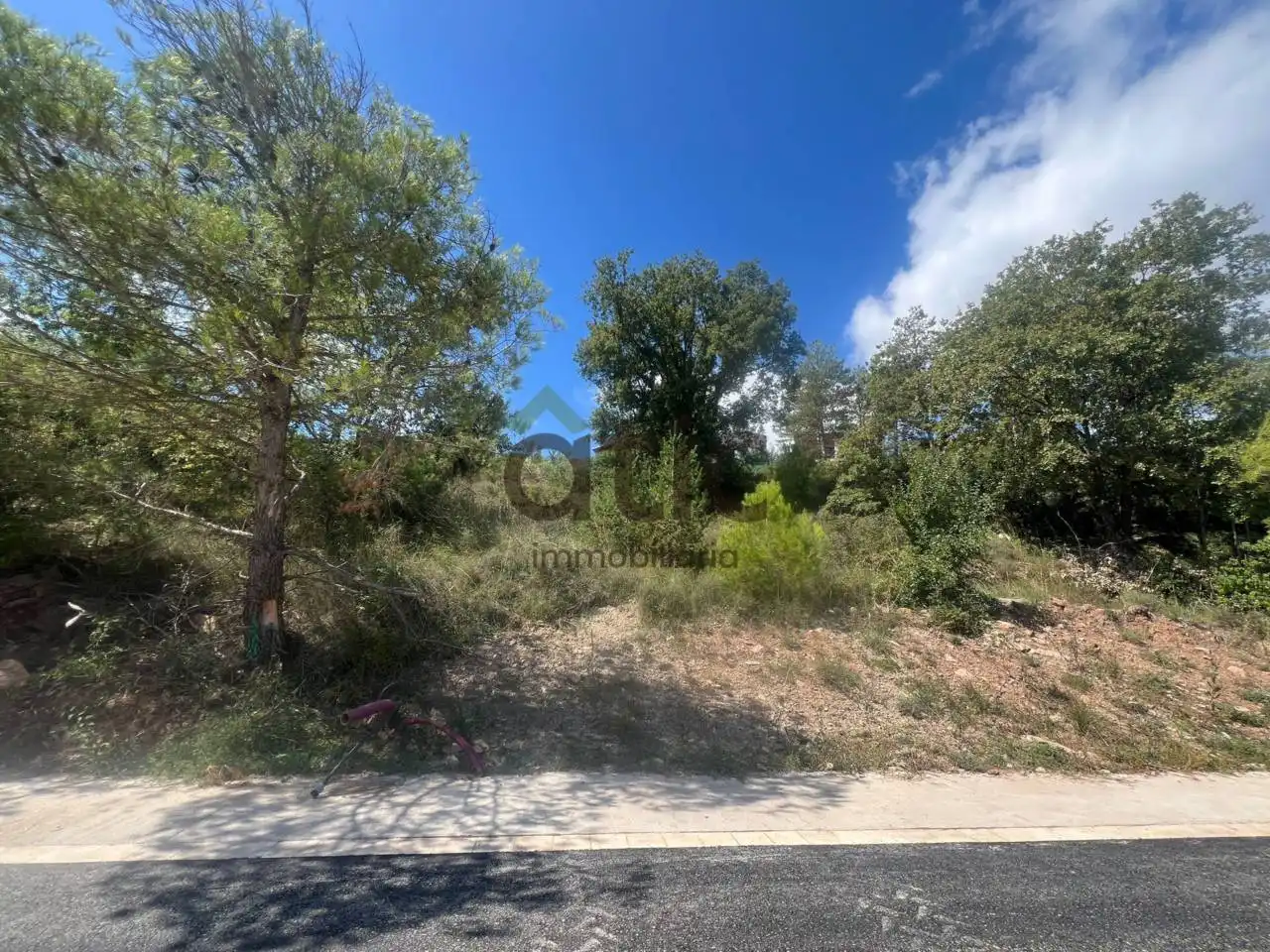 Rural land for sale in Calle Montseny, imagen 5
