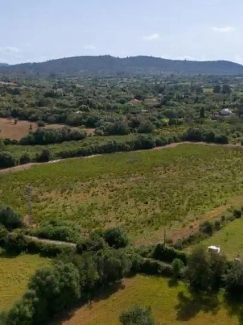 Terreny residencial en venda a Llucmajor - Camino d` Alacantí, imagen 9