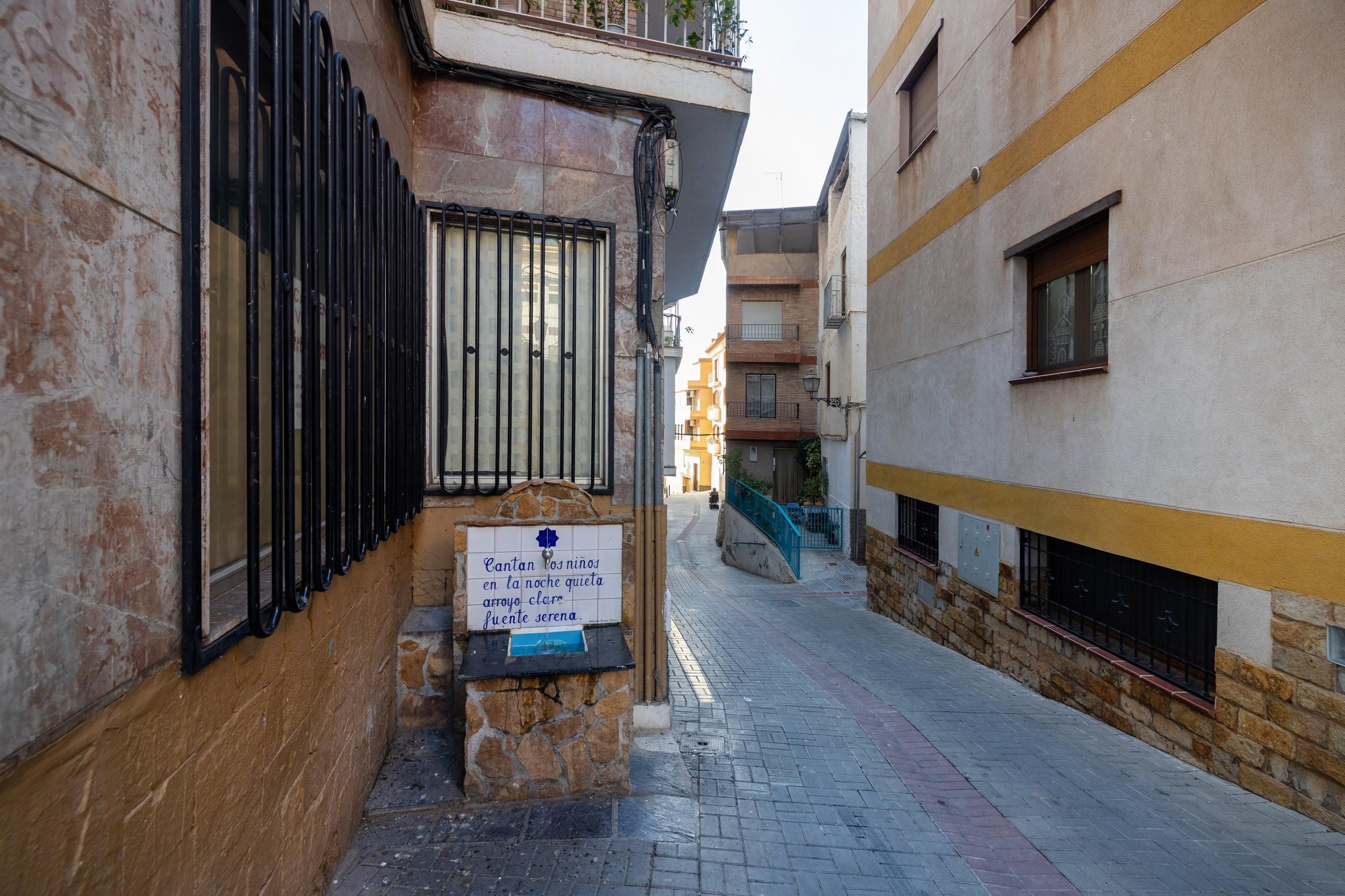 Vista exterior de Casa o chalet en venta en Lanjarón