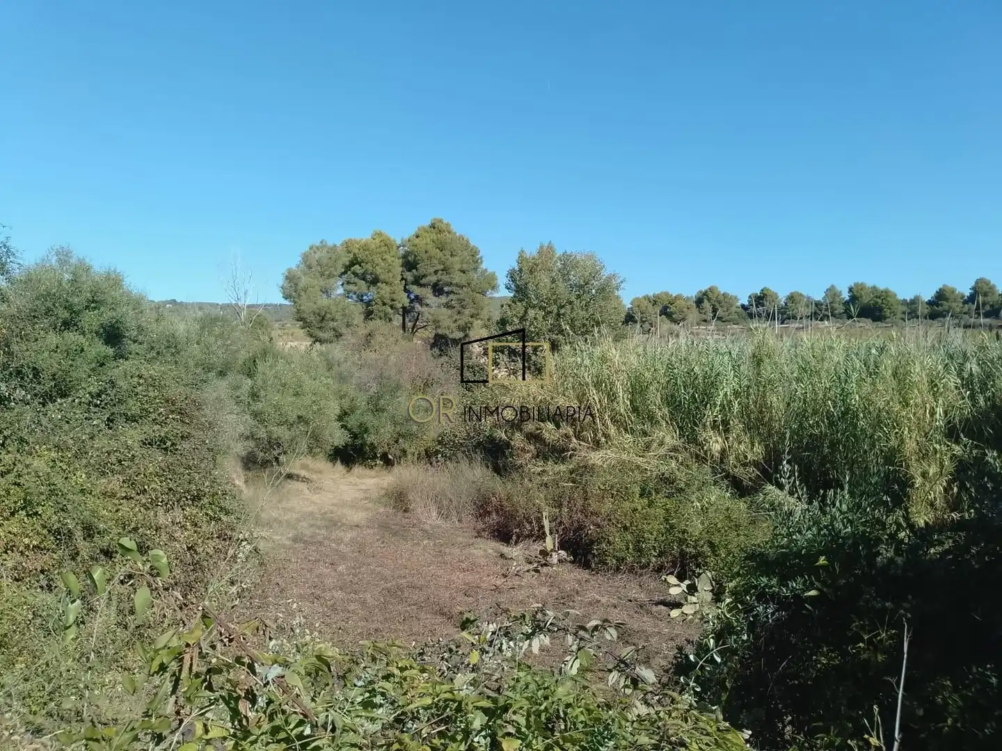 Casa con giardino in vendita a Mediona, imagen 17