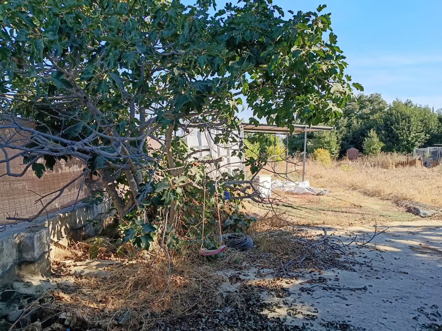 Rural land for sale in Plaza 8 Au Santa Amalia, imagen 11