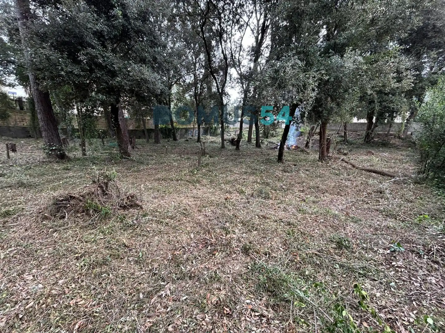 Rural land for sale in Sa Pobla, imagen 9