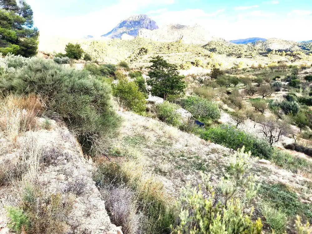 Finca rústica en venta en Sella con Terraza