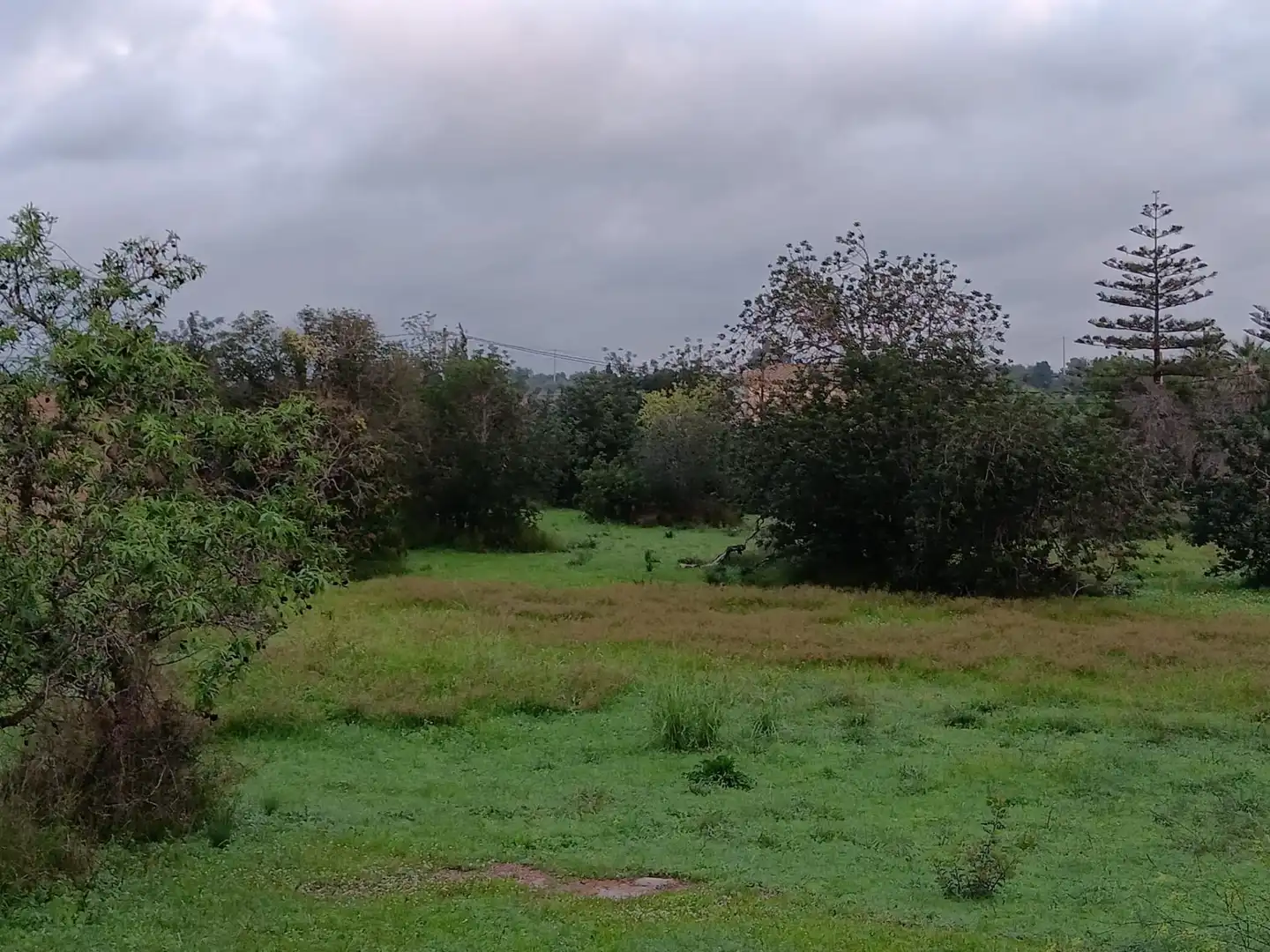 Terrenys i solars en venda a Jesús - Els Reguers, imagen 9