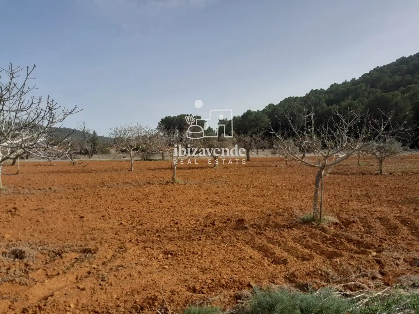 Detached house for sale in San Mateo, imagen 23