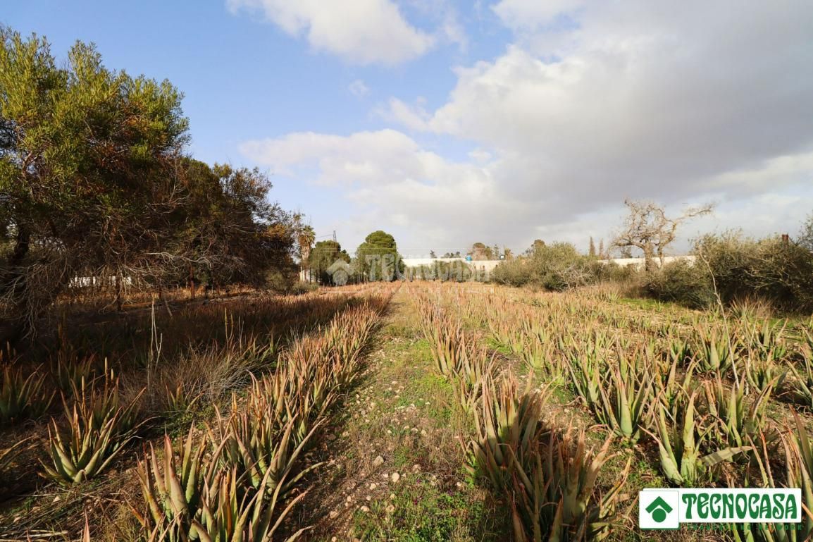 Finca rústica en venta en San Isidro - Campohermoso