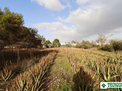 Finca rústica en venda en Níjar