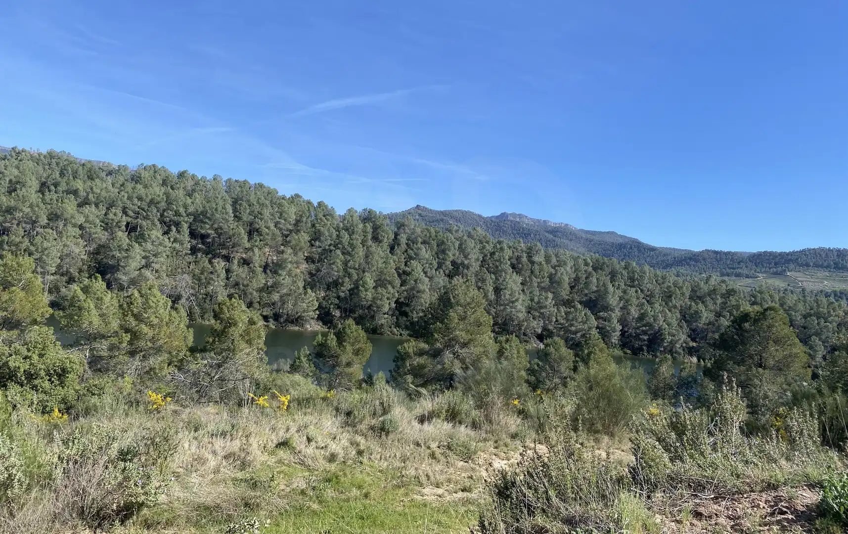 Residential land for sale in Els Guiamets, imagen 35