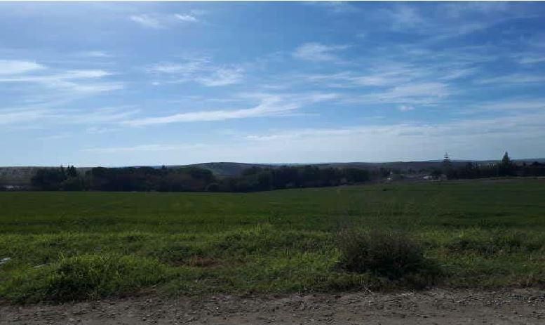 Grundstücke zum verkauf in Moncofa