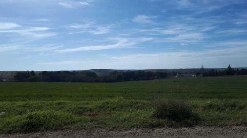 Foto 2 de Terreny en venda a Fosaret( Polígono 11), S/n, Moncófar Pueblo, Moncofa