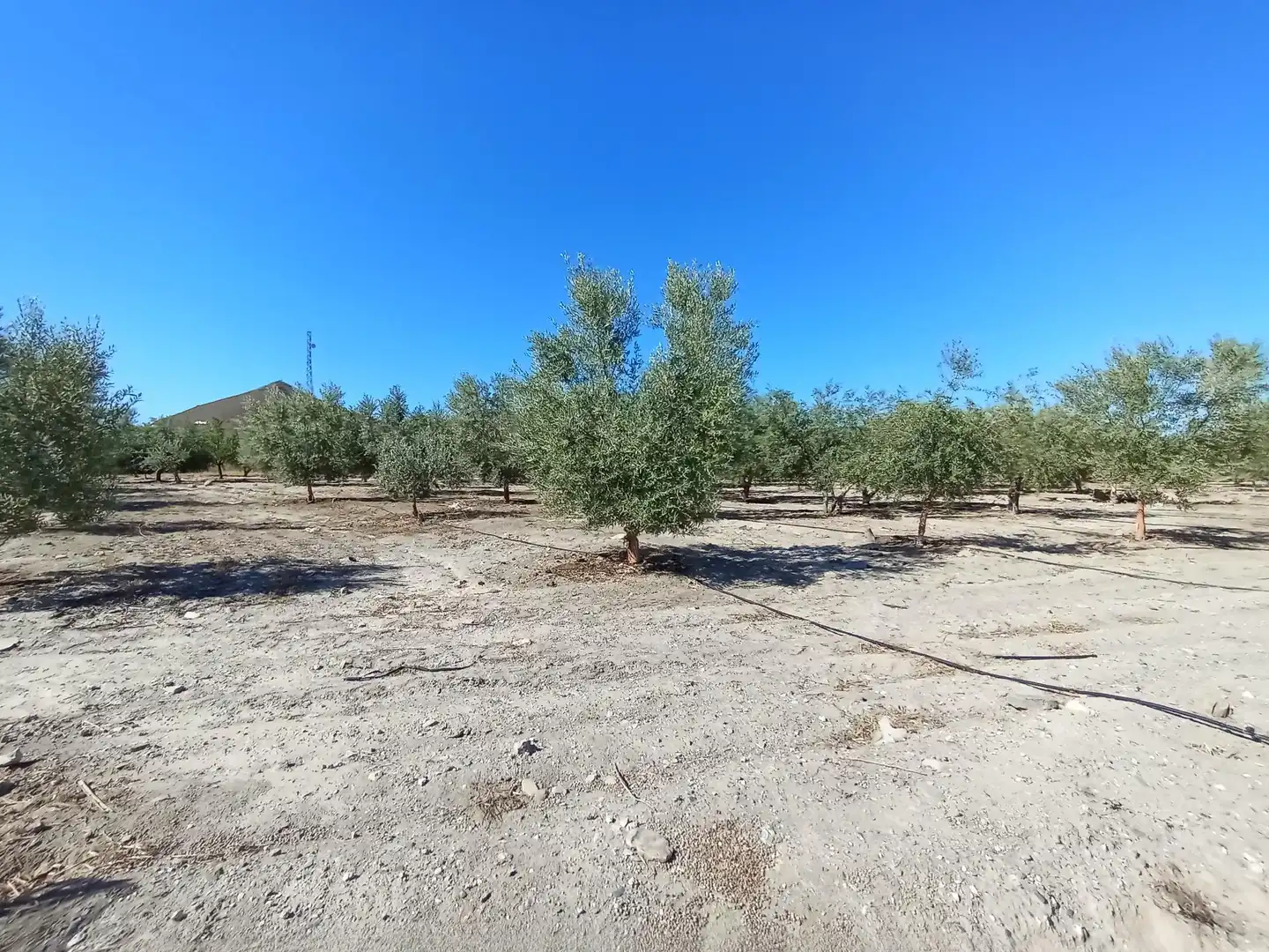 Terreni e lotti in vendita a Pedanías Sur, imagen 15
