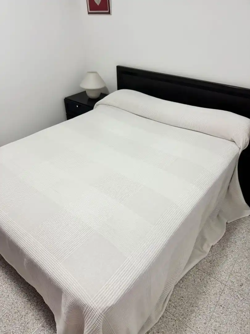 Flat with lift for sale in Les Palmeres, imagen 7