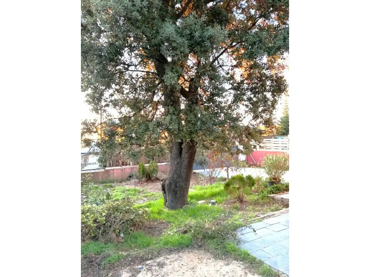 Jardín de Casa o chalet de alquiler en El Espinar con Calefacción, Terraza y Alarma