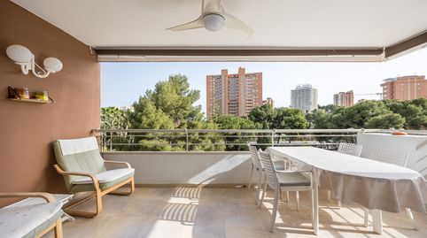 Foto 4 de Piso en venta en Playa Poniente, Benidorm