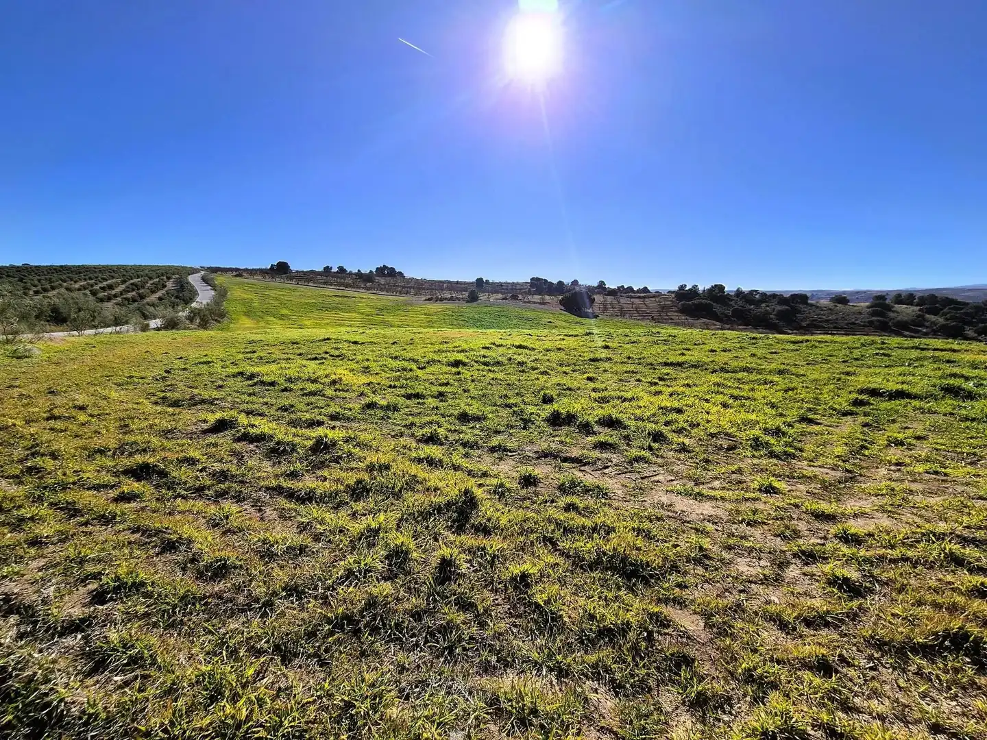 Rural land for sale in Alhama de Granada