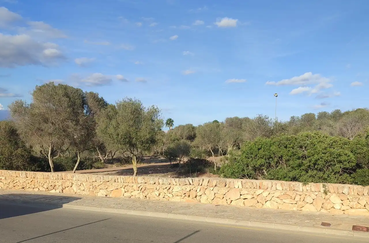 Terreny residencial en venda a Avinguda Regne de Mallorques 8, imagen 15