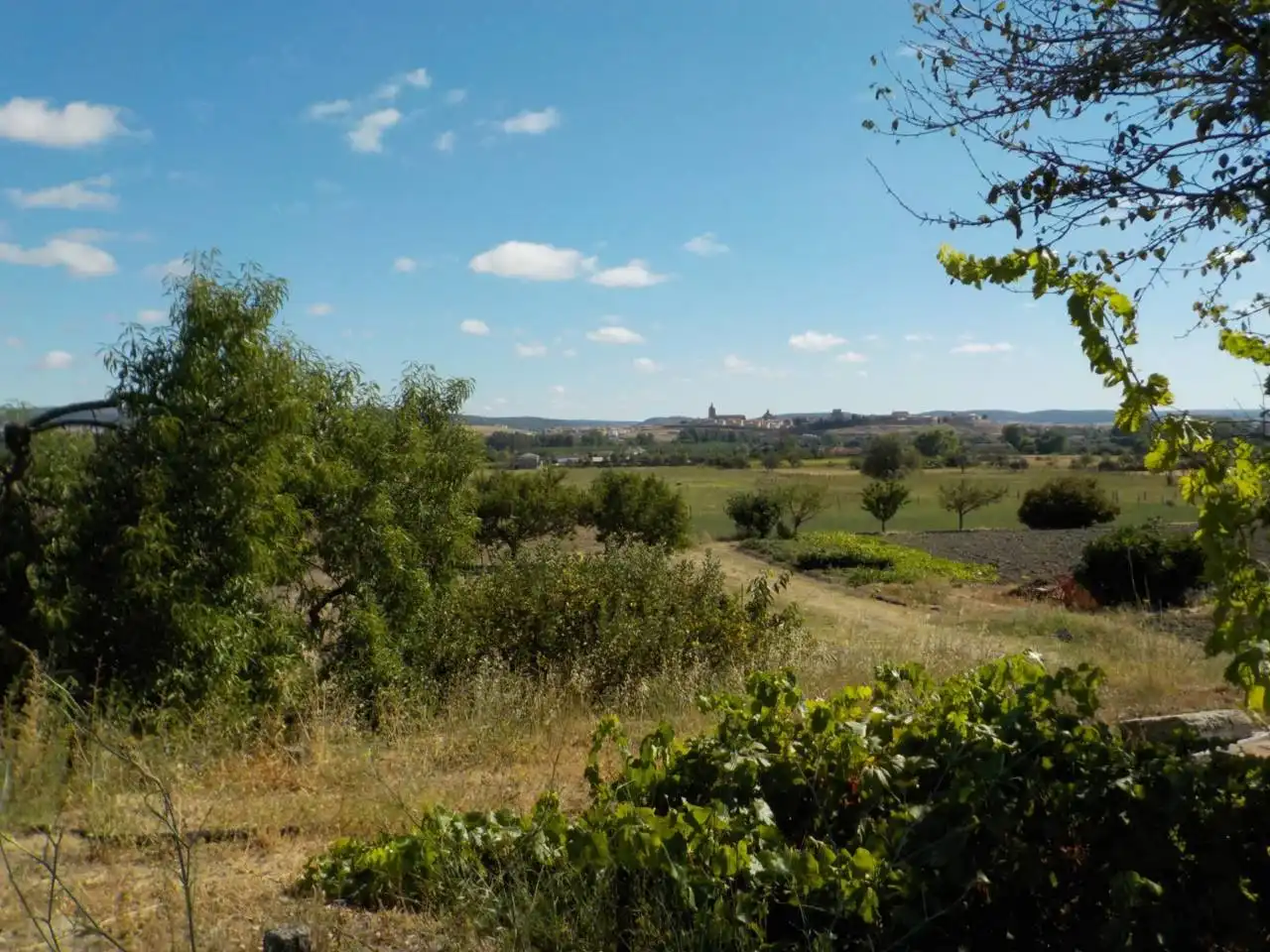 Detached house with garden for sale in Poligono 15, imagen 30