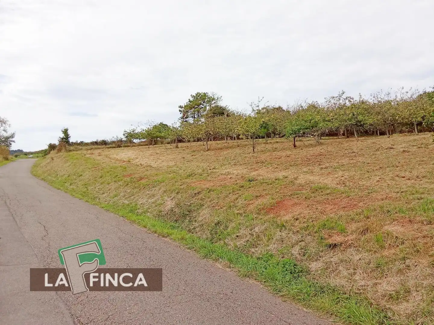 Terrenys i solars en venda a LUGAR EL SUCU, imagen 8