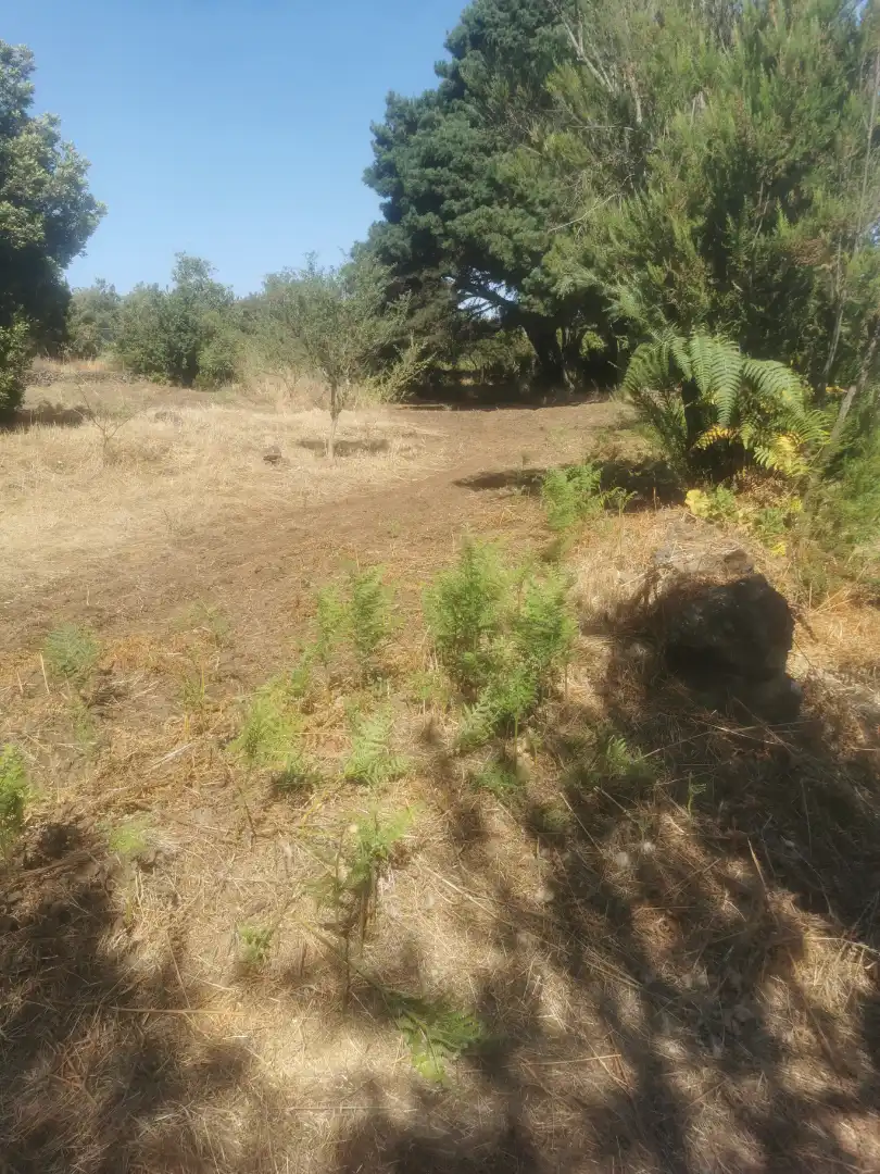 Grundstücke zum Verkauf in El Tanque, Santa Cruz de Tenerife
