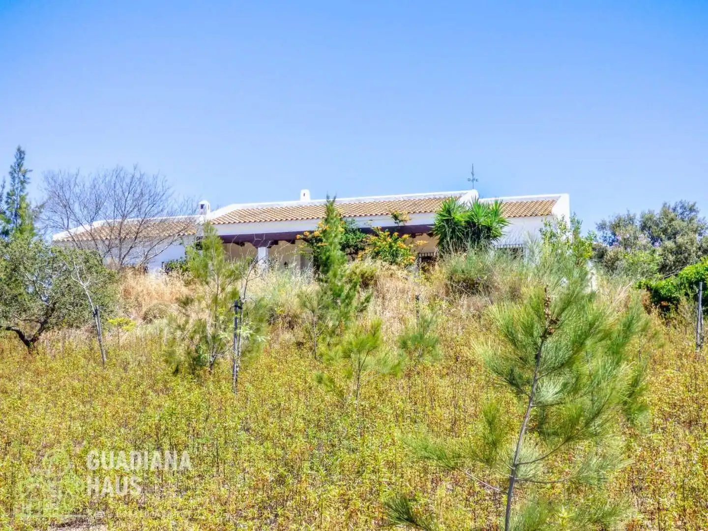 Exterior view of Country homes for sale in San Silvestre de Guzmán  with Private garden and Terrace