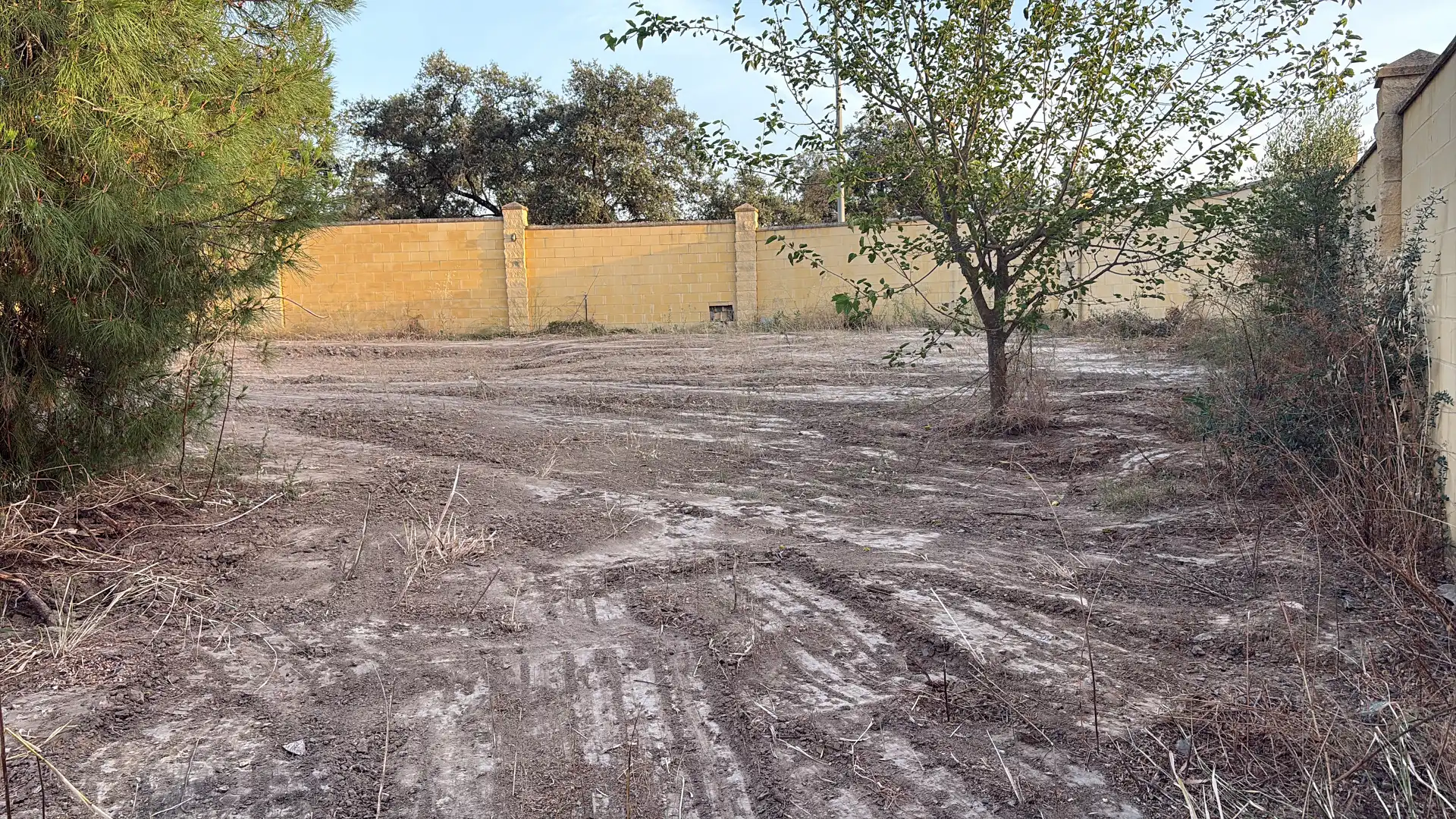 Casa o xalet en venda a Sanlúcar la Mayor