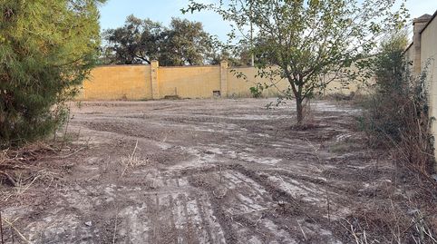 Foto 5 de Casa o xalet en venda a Sanlúcar la Mayor, Sevilla