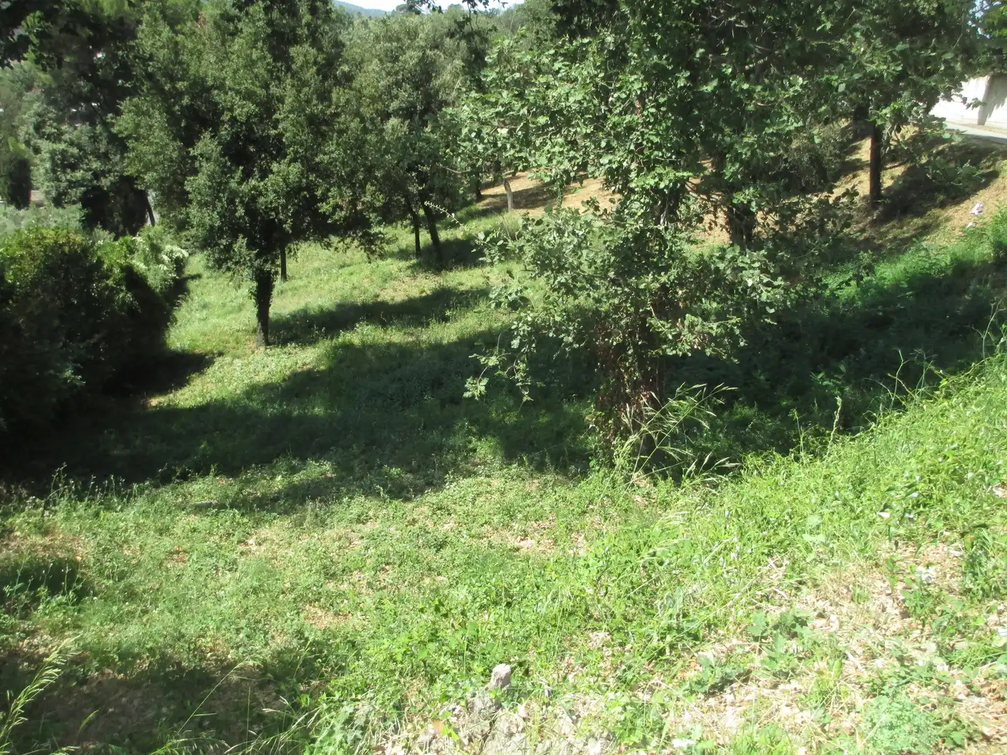 Residential for sale in Santa Maria de Palautordera