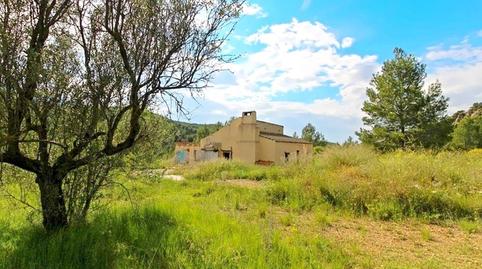 Foto 3 de Casa o chalet en venta en Cuatro, Olimar - Carambolo - Atalaya de Levante, Valencia