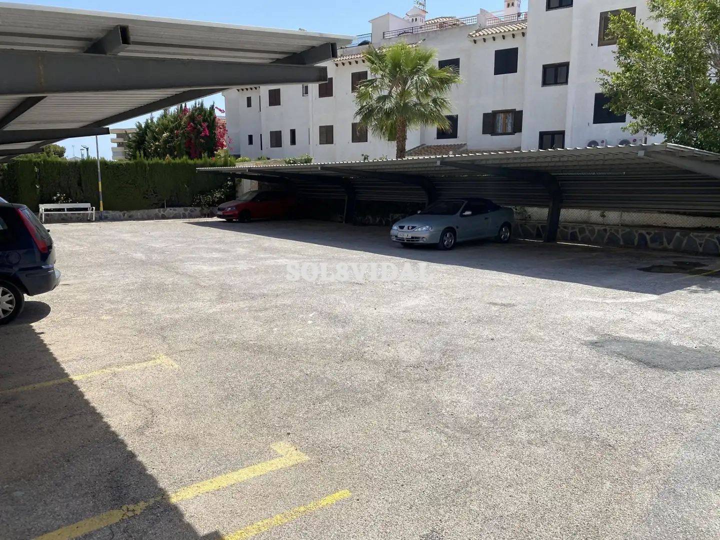 Flat for rent in Cabo Roig