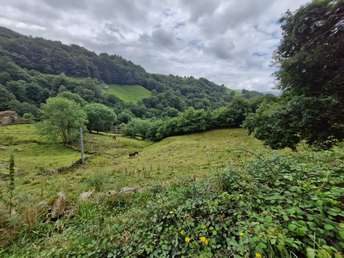 Terreno en venta en Selaya
